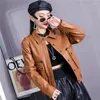 Damen Leder Safari Damen Stil Echte Cargo Jacke Büro Dame Schaffell Langarm Schlank Kurzmantel Herbst Winter Streetwear Outwear