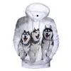 Erkek Hoodies Hayvan Köpek Husky 3d Baskı Büyük Boyu Kadınlar/Erkekler Hoodie Sweatshirt Street Giyim Hip Hop Külot Kapüşonlu Ceket Erkek Günlük