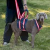 Colliers pour chiens Fournitures pour animaux de compagnie Jarretelles Ceinture de traction Réadaptation des blessures Harnais pour personnes âgées assistées handicapées