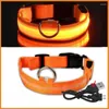 Dog Collars Rechargeable Adjustable LED Flashing Glowing Collar