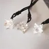 Hänge halsband naturlig sten kvartsvit kristall pendel merkaba pendants chakra pendulesuspension läkning med pärlor