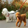 Dog Collars Pet Walking Lead Bungee Coupler Leashes Double Chain Elastic Dogs Leash Splitter Tow Belt Chest Strap