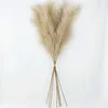 5Pcs Faux Pampas Grass Large 120 100 85cm Bouquet di fiori Falso Artificiale Pampas Grass Decor Alto Soffici Steli Soggiorno Decor 21302d