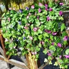 Decorative Flowers Flower Vines For Decore Realistic Artificial Morning Glory Aesthetic Parties Garden Wedding