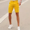 2023 Summer Suit Shorts Slim Fit Plaid Large Grote maten casual herenshorts