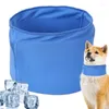 Colliers pour chiens Refroidissement Cou Wrap Apaisant Respirant Cool Écharpe D'été Bandana Bavoir De Glace Pour Voyage En Plein Air Petit Moyen Grand Animaux Fourniture