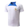 2022 Мужские спортивные костюмы Франция футбол 21/22 Короткие рукава футбольная рубашка Размер S M L XL XXL