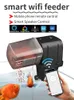 Alimentador Automático Aquário Tanque de Peixes TimingWifi Wireless Smart Phone App Intelligent Ser Voice Remote Control Feeding 230715