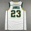 GH St. Vincent Mary School Irish High LeBron James Basketball Jersey Mitch och Ness Throwback Gold White Green Size S-XXL