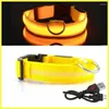 Dog Collars Rechargeable Adjustable LED Flashing Glowing Collar