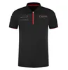 F1 Team Polo Shirt męski garnitur wyścigowy Lapel Casual krótko-rękawoeved szybkie ubrania o rozmiar plus można dostosować.