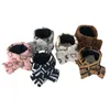 Autumn Winter Warm Cat Dog Scarf Fashion High Quality Soft Schnauzer Teddy Hairless Cat Pet Sharf