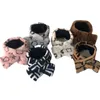 Autumn Winter Warm Cat Dog Scarf Fashion High Quality Soft Schnauzer Teddy Hairless Cat Pet Sharf