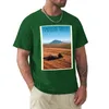 Polos Polos Imperial Valley Agriculture T-shirt Szybkie suszenie plus rozmiar topy T-shirty Man Hippie Ubrania T koszule