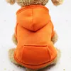 Vêtements pour chiens sweats à capuche unis texte personnalisé vêtements de plein air pour animaux de compagnie vêtements de chiot mignon cadeaux personnalisés pull bébé
