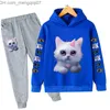 Clothing Sets Two sets of children's fashion boys' clothing Autumn baby girls' clothing cat suit children's cotton Hoodie Z230717