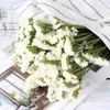 Dried Flowers Natural Forget Me Not Flower Fall Home Decor Balcony Fresh Bouquet Garden Wedding Bench Decorative Materials 230717