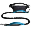 Colliers pour chiens Laisses Laisse réfléchissante Élastique Sport Taille Sac Ensemble Courir Ceinture Fanny Pack Mains Libres Traction Corde Jogging Pull 230617