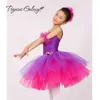 Stage Wear Purple Long Tutu Skirt Gymnastics Leotard F Girls Saia Classic Ballet Clothes Children Adulto Dance Costume Women Dancing