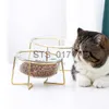 Dog Bowls Feeders Other Pet Supplies New Non-slip Cat Bowls Glasses Single Bowls with Gold Stand Pet Food Water Bowls for Cats Dogs Feeders Pet Products Cat Bowl x0715