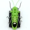 Nieuwheid Games Solar Grasshopper Toy Puzzle Children Selected Gift Simulation Insect Boys and Girls Science Education grappig Moving Kid 230718