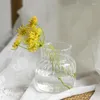 Wazony wazon kwiatowy do dekoracji stołowej szklanki salonu ozdoby Fleur Flowers Kwiaty stacjonarne