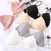 Bras Sexy Thin Triangle Bra For Women Lingerie Wireless Underwear Push Up Solid Color Bralette Female Padded Brasserie239V