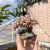 Blokken MINI Blokken/loques 2 stijlen EEUWIGE BLOEMEN kersenbloesem ingemaakte sappige bonsai woonkamer decoratie grappig creatief cadeau R230718