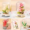 Blocchi ragazza regalo blocchi giocattolo musica simulazione pianta fiore decorazione mattoni fai da te bouquet romantico musica assemblaggio mattoni giocattolo R230718