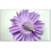 Gerbera Daisy Flower With Clips Baby Bows Alligator Grip Girls Accessories Barrettes