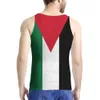 Palestine nom personnalisé numéro équipe Logo Palaestina débardeurs Ple pays voyage Tate Palestine Nation drapeau imprimer Photo vêtements