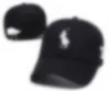 Hochwertige 24 -Style -Ballkappen Baseballhüte Herren Womens Sport Caps Forward Cap Fashion Casquette Designer Einstellbarer Buchstaben Po Horse Hut P9