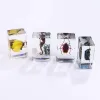 Insect Specimen Party Favors for Kids Bugs in Resin Collections Paperweights Arachnid Preserved Scientific Educational Toy Halloween
