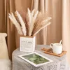 Flores decorativas naturais secas junco pampa grama buquê estilo casa phragmites arranjo de casamento decoração