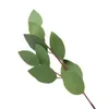 200pcs/lot home party party wall decoration التشفير الأخضر محاكاة مصنع الصفصاف ويلو ورقة wisteria محاكاة قلادة eucalyptus المعلقات 2238