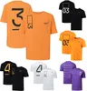 F1 T-shirt Formule 1 Pilotes D'équipe T-Shirts Fans De Voitures De Course D'été Décontracté Manches Courtes Jersey Surdimensionné Sport Hommes T-Shirts Hauts