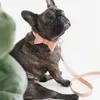 Pure Dog Collars PU Leather Pets Leash Set Ajustable Suave Transpirable Para Perros Pequeños Medianos Grandes Cuerda de Entrenamiento PS2041