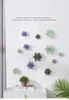 Naklejki ścienne Nowoczesne soczyste ceramiczne kwiaty wiszące rzemiosło domowy salon dekoracja dekoracji biurowej sklepu z naklejkami grafiki