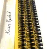 Faux Cils 60 Bundles 50D60D80D NOIR Volume d'extension de cils naturels Faux Mink Cluster individuel Cils Maquillage Cilia SILK 230617