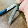 Promotion C7152 High End Fixed Blade Knife VG10 Damascus Steel Blade Full Tang Cured Wood Handle Outdoor Camping Hiking Survival Straight Knives with Leather Sheath