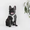 Pure Dog Collars PU Leather Pets Leash Set Ajustable Suave Transpirable Para Perros Pequeños Medianos Grandes Cuerda de Entrenamiento PS2041