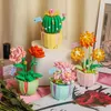 Blocchi Creativo Floreale Pianta in vaso Fiore in vaso Cactus Loto Bonsai Building Block Mazzi Decorazione scrivania giocattoli per ragazze Regalo R230718