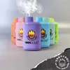 Vapesoul 6500 Puffs Dispositif rechargeable jetable Premium V-Ghost Laissez votre âme sourire !