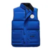 Herren Gilet Designer Jacke Weste Luxus Down Woman Weste Feder gefülltes Material Coat Graphit grau Schwarz-Weiß-Blau-Pop-Paar Mantelgröße minimalistischer Stil S-2xl