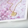 Pendant Necklaces Stylish Shell Necklace For Women Stainless Steel Gold Plated Charm Pectinid Shaped Jewelry Birthday Gifts