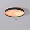 Plafonniers Moderne Créatif Lune Lampes LED Lustre Simple Décor Luminaires Circulaire Allée Intérieur Maison