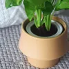 花瓶セラミックフラワーポットノルディックラウンドインス小さな鉢植えの植物肉質家庭の創造的な不規則なキノコポット