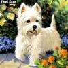 Full Square Diamond 5d DIY Diamond Målning Pet Dog Embroidery Cross Stitch Rhinestone Mosaic målning Decor Gift256w