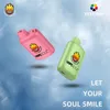Vapesoul 6500 Puffs Dispositif rechargeable jetable Premium V-Ghost Laissez votre âme sourire !