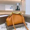 Franc Series Geavanceerde klassieke originele hardware ontwerper luxe merk crossbody tas Schoudertas Kussen tas Hoge kwaliteit versie V104056